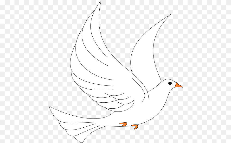Dove Landing, Animal, Bird, Pigeon, Fish Free Png