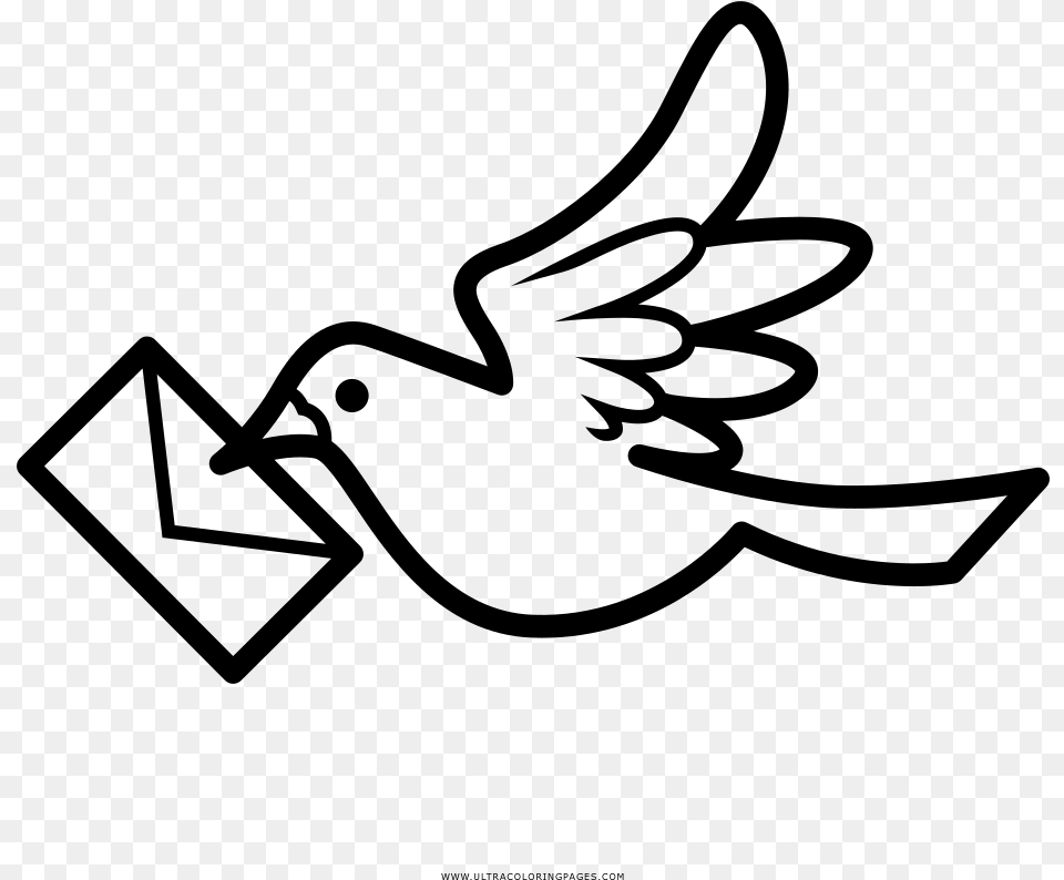 Dove Letter Coloring, Gray Free Png
