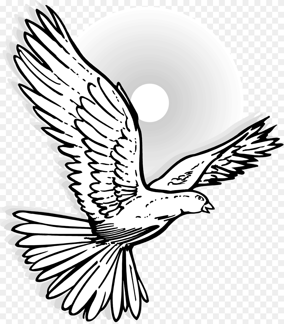 Dove Line Drawing At Getdrawings Dove Flying On Black And White, Animal, Bird, Eagle, Pigeon Free Png