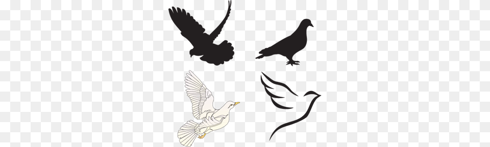 Dove Logo Vectors Download, Animal, Bird, Pigeon Free Transparent Png