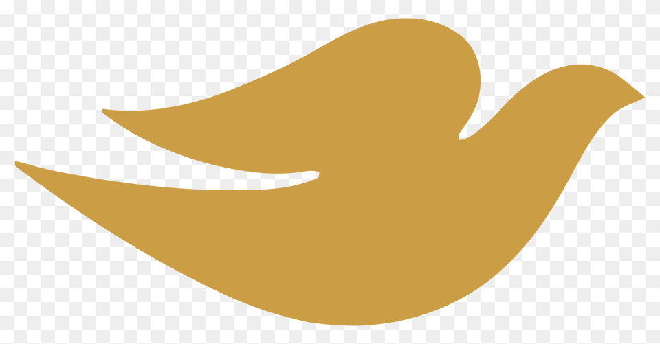 Dove Logos, Pottery, Clothing, Hat, Astronomy Free Png Download