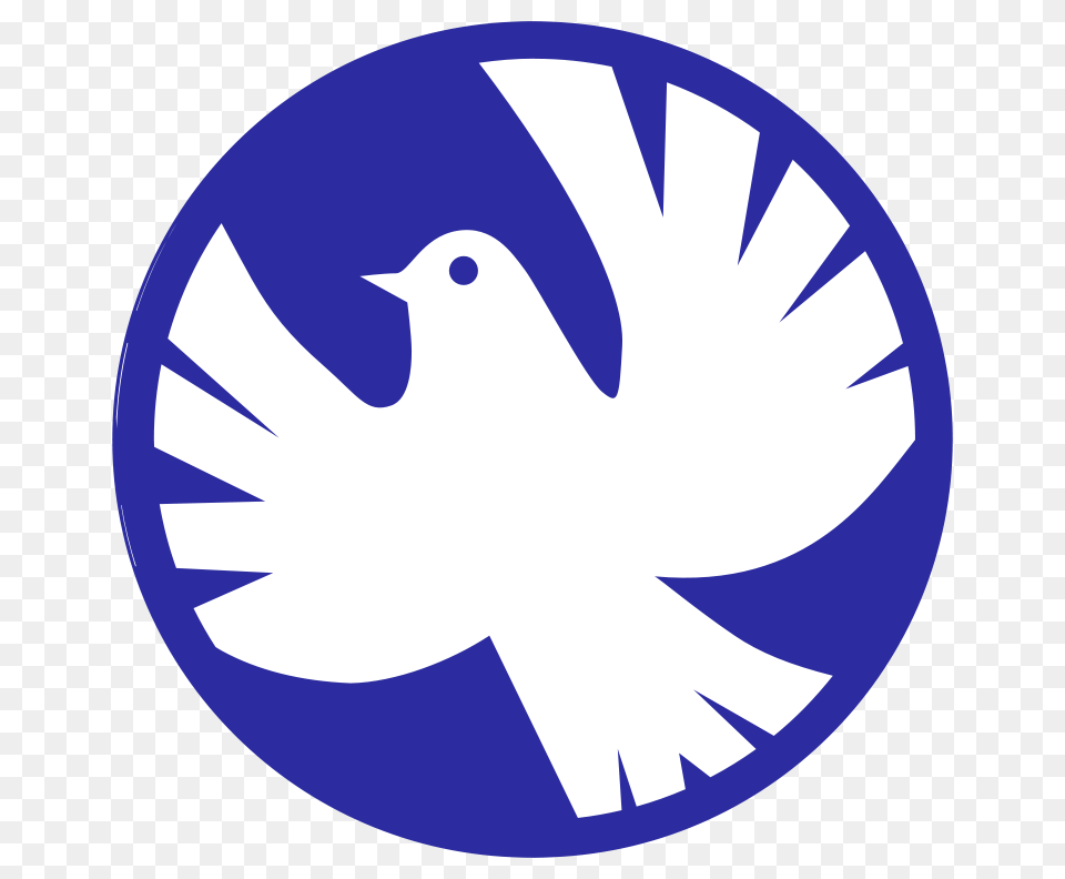 Dove Mir, Animal, Bird, Pigeon Free Transparent Png