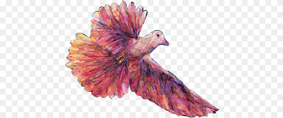 Dove Of Peace Women39s Inspirational Daily Prayer Following In, Animal, Bird, Pigeon, Adult Free Transparent Png