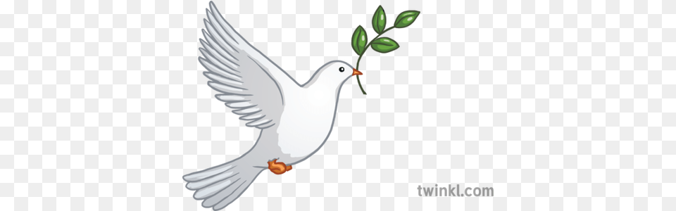 Dove Peace Emoji Twinkl Newsroom Ks2 1 Lovely, Animal, Bird, Pigeon Png