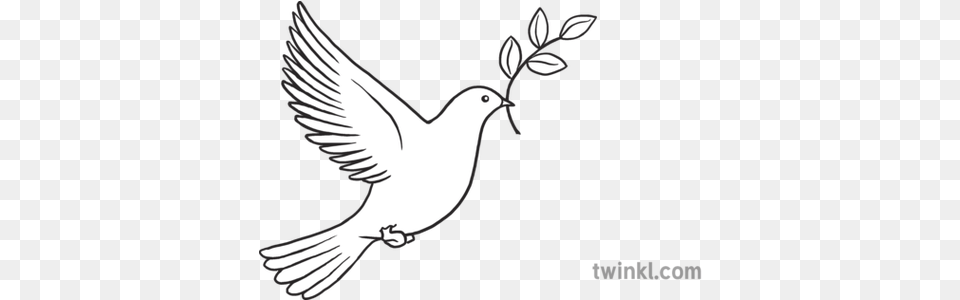 Dove Peace Emoji Twinkl Newsroom Ks2 Language, Animal, Bird, Pigeon Png Image