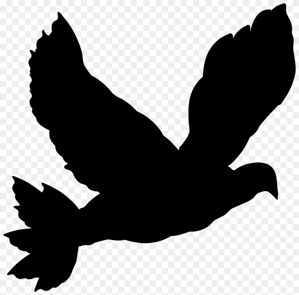 Dove Silhouette, Animal, Bird, Blackbird, Person Png Image
