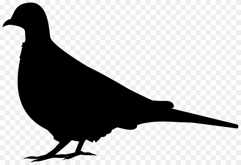 Dove Silhouette, Animal, Bird, Blackbird, Kangaroo Free Png