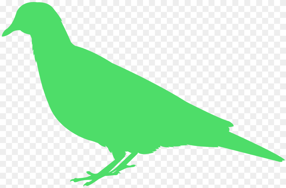 Dove Silhouette, Animal, Bird, Pigeon, Fish Free Transparent Png