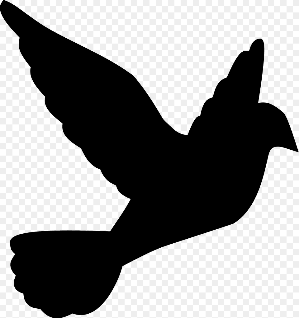 Dove Silhouette, Animal, Bird, Blackbird Png