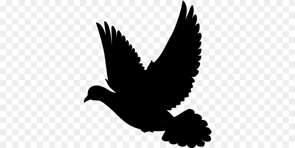 Dove Silhouette Bird Of Prey, Gray Free Png Download