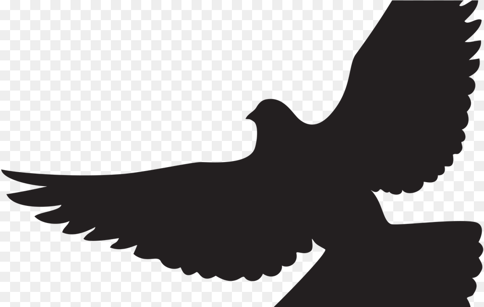 Dove Silhouette Clip Art Gallery Yopriceville High Dove Silhouette, Animal, Bird, Pigeon, Person Png