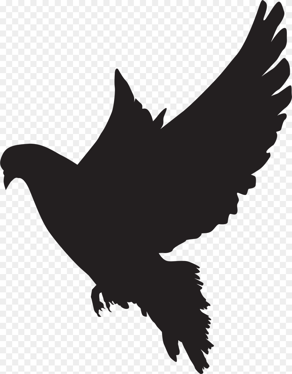 Dove Silhouette Clip Art Imageu200b Gallery Yopriceville, Person, Animal, Bird, Pigeon Png