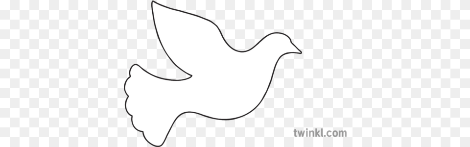 Dove Template Illustration Twinkl Line Art, Silhouette, Logo Free Png