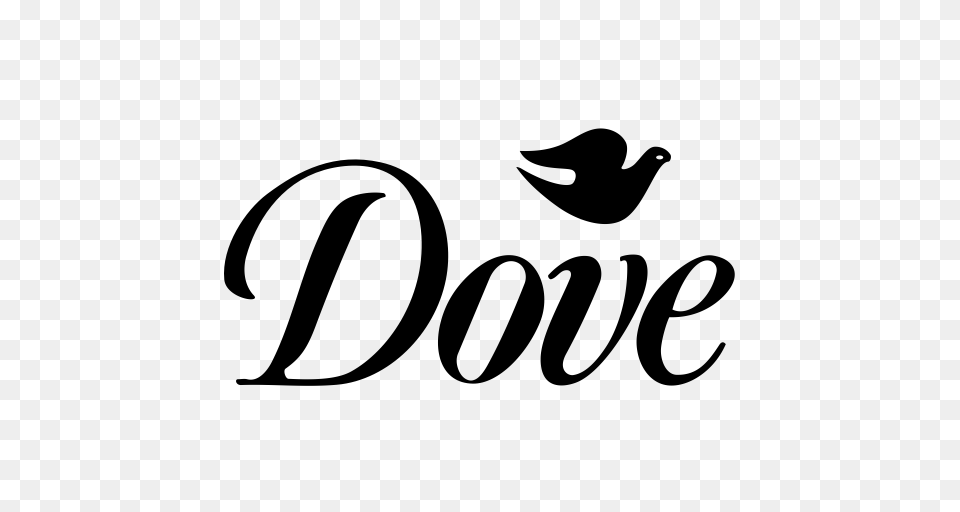 Dove Templates Dove Invitation Icon With And Vector Format, Gray Png Image