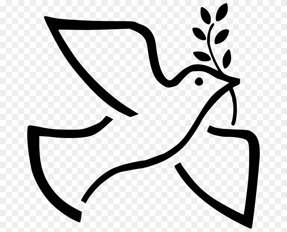 Dove W Branch, Gray Free Png