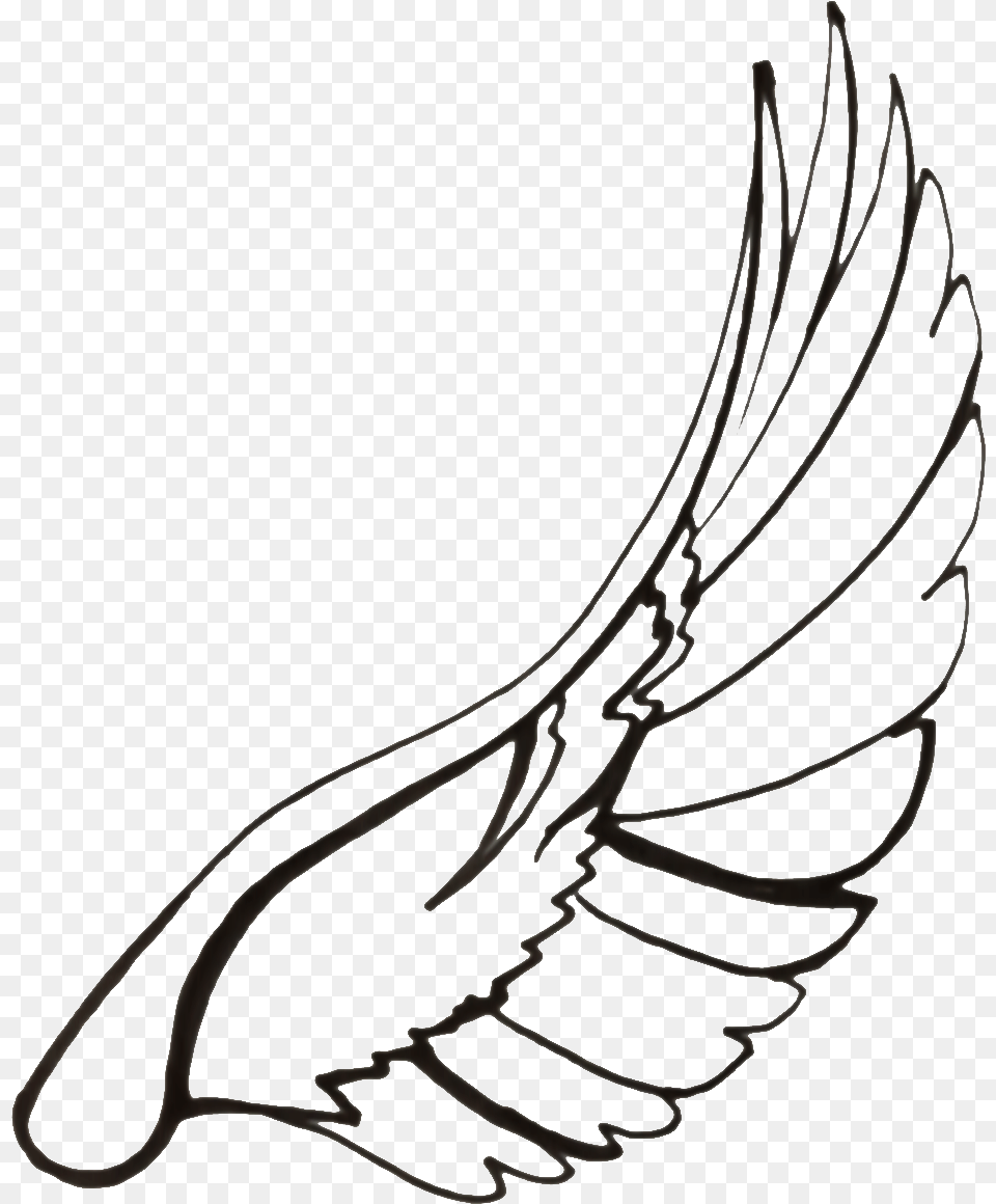Dove Wings At Getdrawings Com Free For Wings Drawing, Animal, Bird, Vulture, Bow Png Image