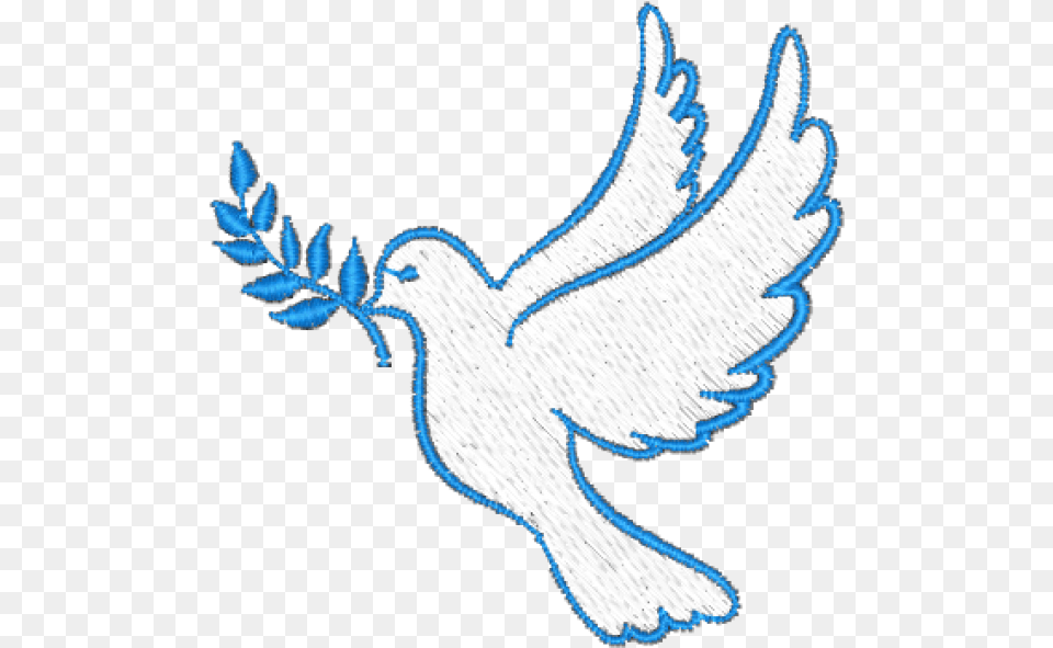 Dove With An Olive Branch, Animal, Bird, Pigeon, Fish Free Transparent Png