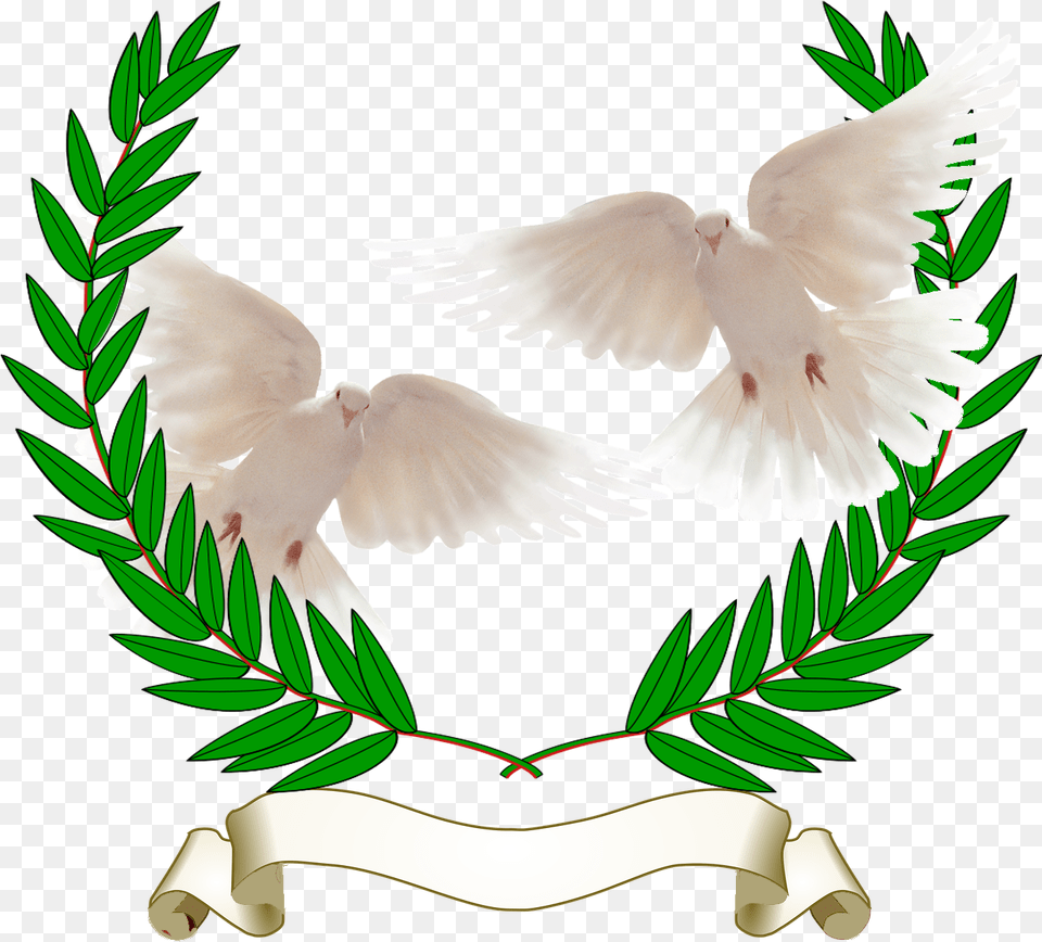 Dove With Olive Branch, Animal, Bird, Pigeon Free Png