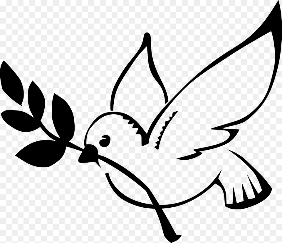 Dove With Olive Branch, Gray Png