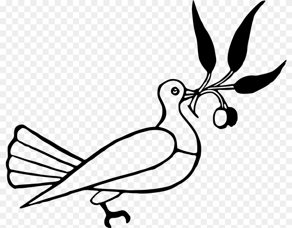 Dove With Olive Branch, Gray Png Image