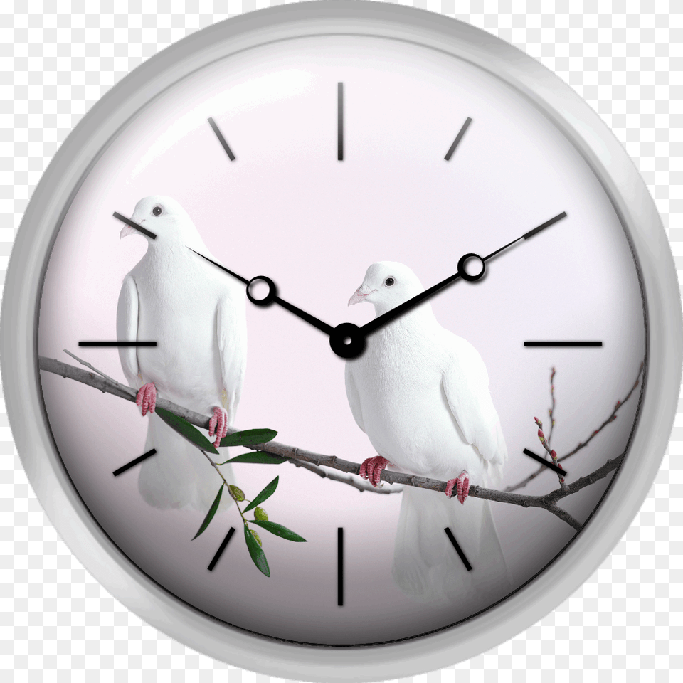 Dove With Olive Branch, Animal, Bird, Clock, Analog Clock Png