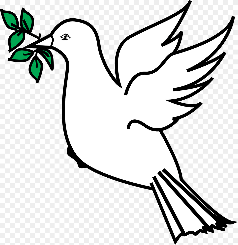 Dove With Olive Branch Clip Art, Stencil, Animal, Bird, Blackbird Free Png