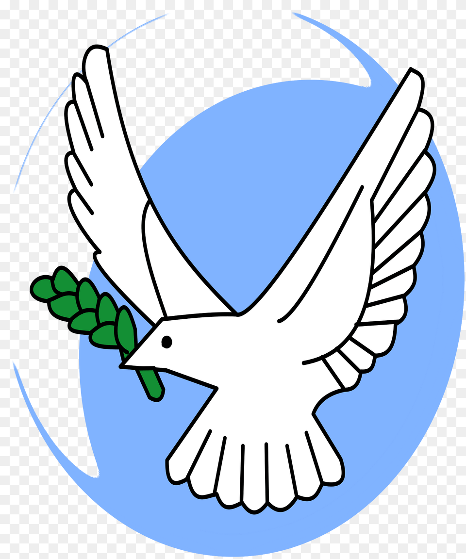 Dove With Olive Branch Clipart, Animal, Bird, Pigeon Png