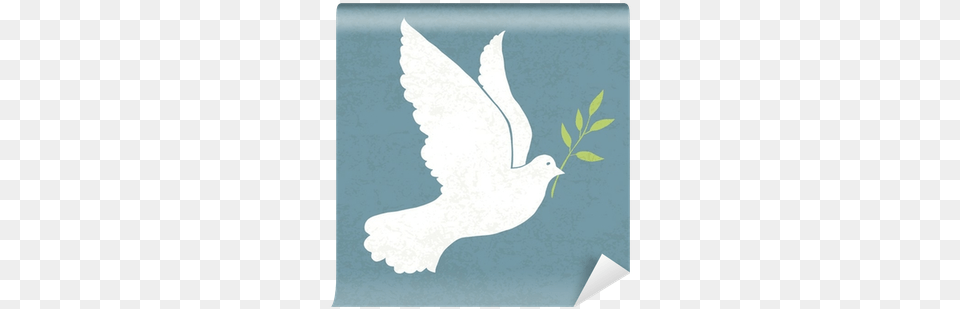 Dove With Olive Branch Comfort My People Saith Your God, Animal, Bird, Pigeon Png Image