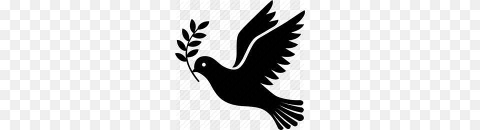 Dove With Olive Branch Headstone Clipart, Animal, Bird, Vulture, Blackbird Free Png Download