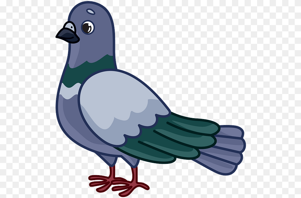 Doves Clipart, Animal, Bird, Pigeon, Dove Free Png Download