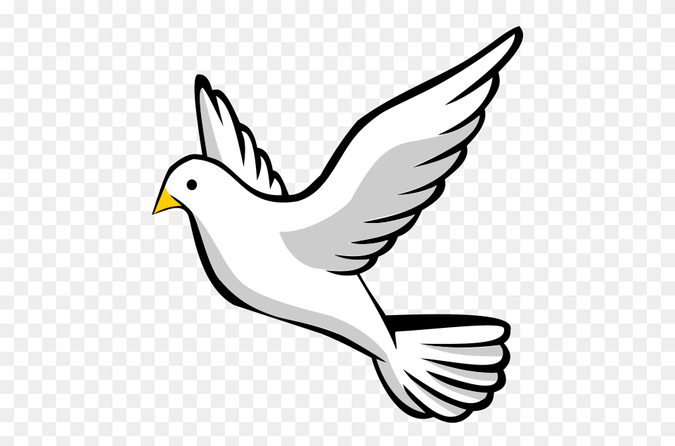 Doves Clipart Clipart Fresh, Animal, Bird, Finch, Pigeon Png