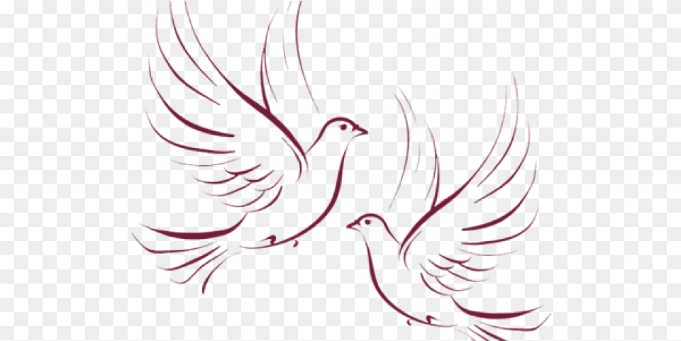 Doves Clipart Wedding Wedding Doves, Person, Animal, Bird Png Image