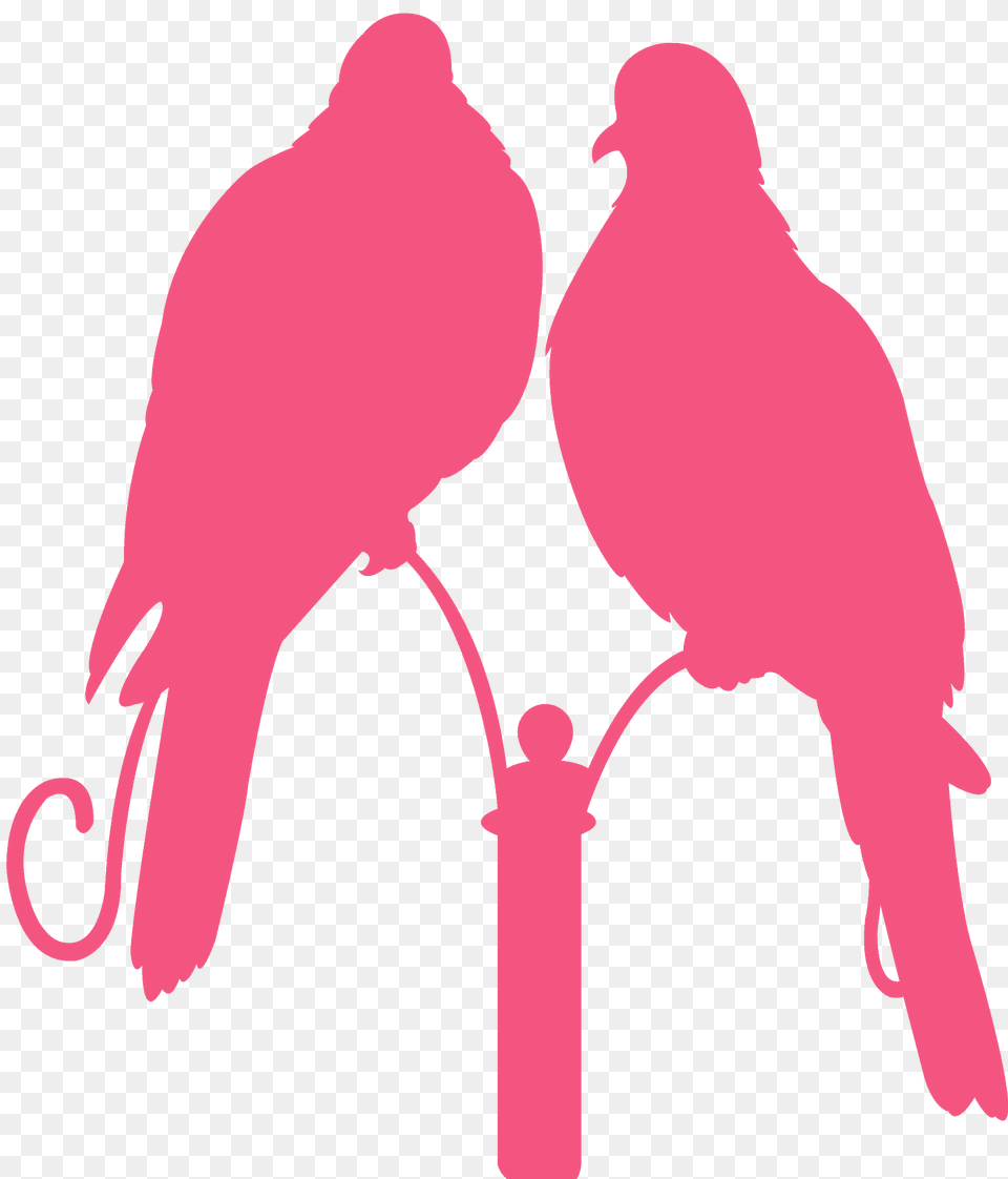 Doves Silhouette, Person, Animal, Bird Free Png Download