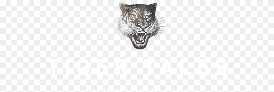 Down Asics Onitsuka Tiger, Art, Drawing, Animal, Cat Free Png