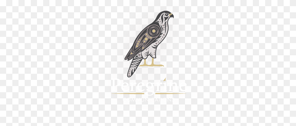 Down Facebook Jb Systems Logo Peregrine Falcon Falcon Hawk, Accipiter, Animal, Bird, Buzzard Free Png