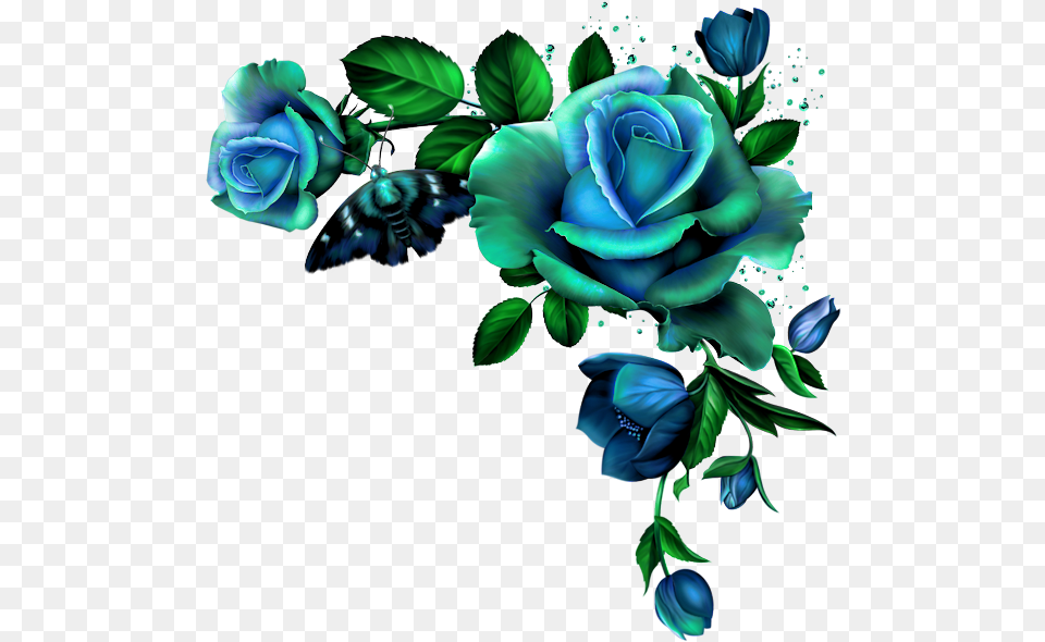 Download 0 D5aec B96f6af3 Orig Blue Rose Flower Borders Blue Rose Flower Border, Art, Floral Design, Graphics, Green Png
