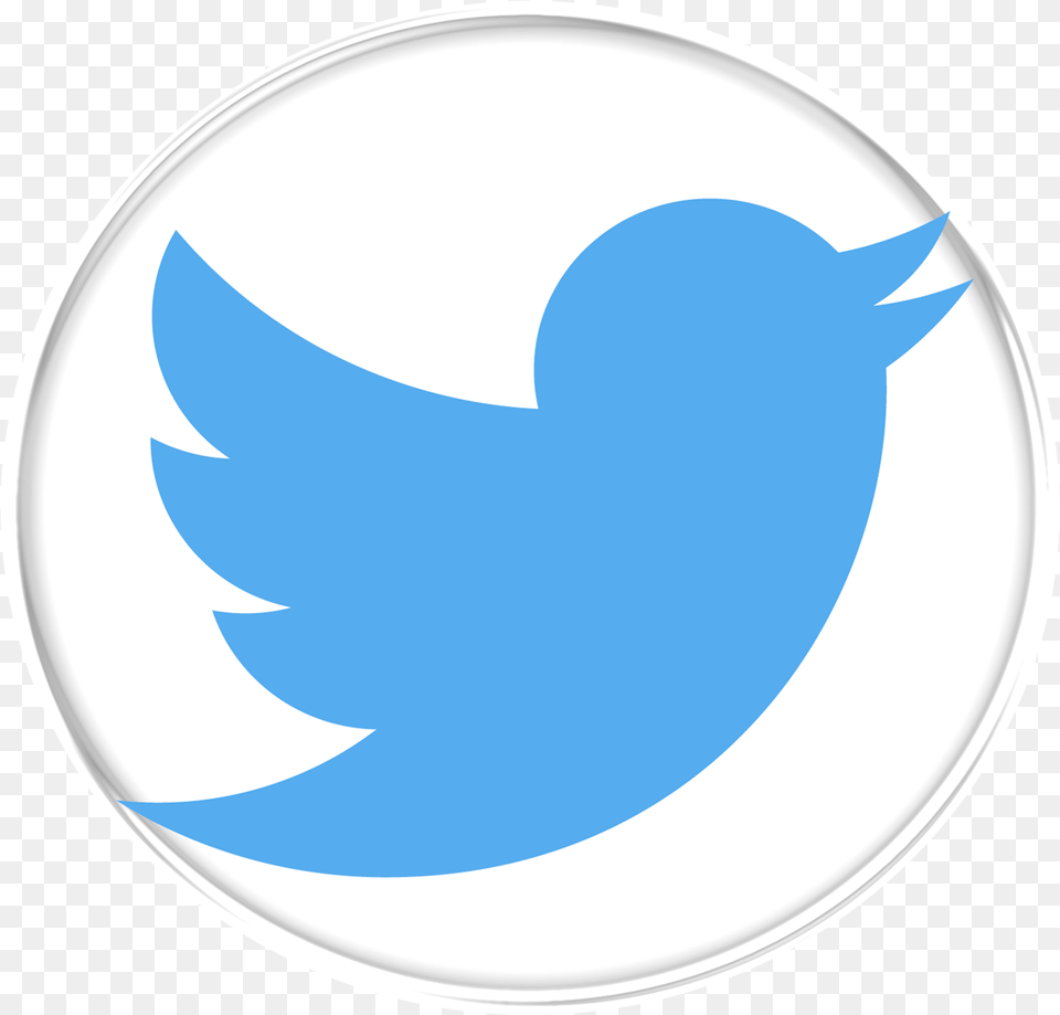 Download 021 830 Grey Twitter Logo With No Logo De Twitter, Plate Png Image