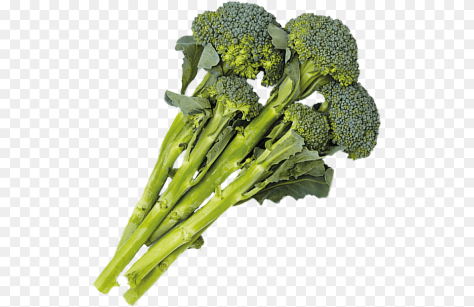 Download 1 Cup Broccolini, Broccoli, Food, Plant, Produce Free Transparent Png