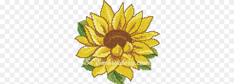 Download Cross Stitch Sunflower Embroidery Sunflower Images For Embroidery, Pattern, Flower, Plant Free Transparent Png