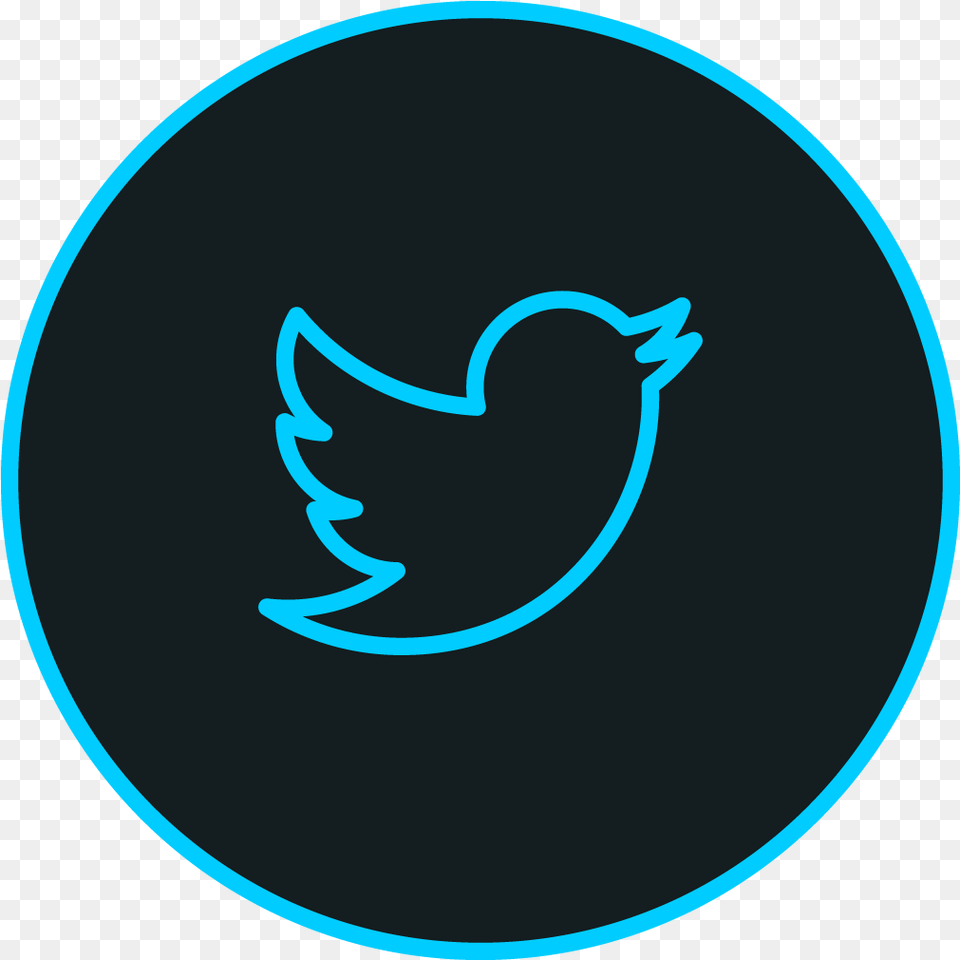 Download 1024 In Twitter Bird Twitter Icon Twitter Logo Gray Transparent, Disk Png Image