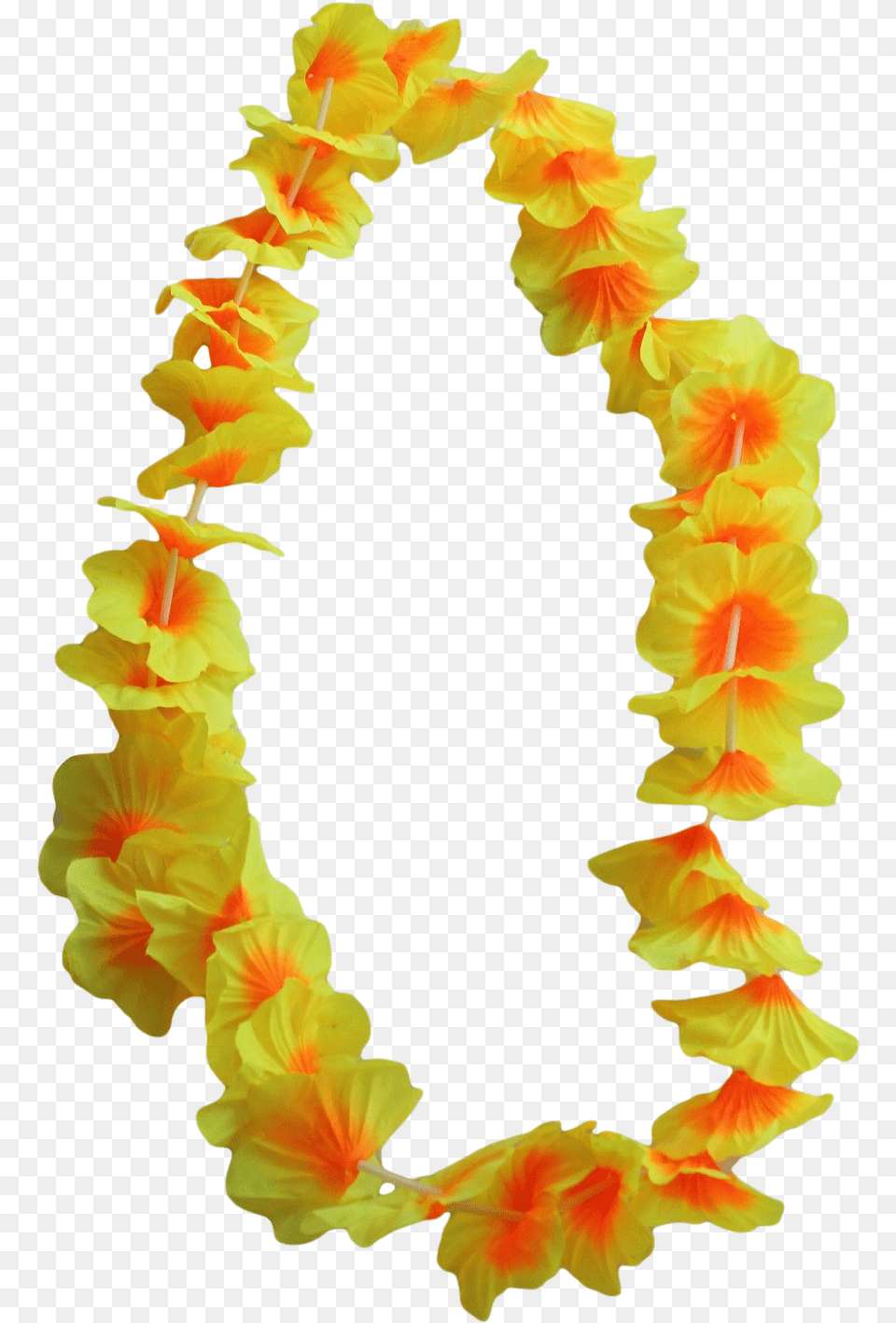 12 X Hawaiian Flower Leis Transparent Hawaiian Leis, Accessories, Flower Arrangement, Ornament, Plant Free Png Download