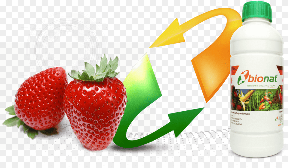 Download 2 Strawberries, Berry, Food, Fruit, Plant Png Image