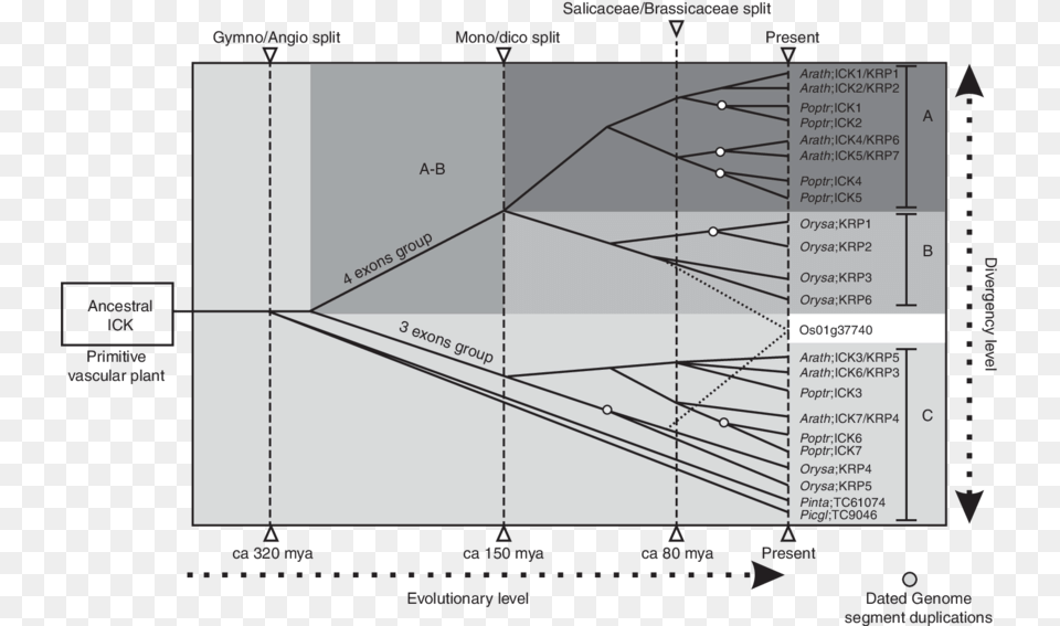 Download, Chart, Plot, Diagram, Plan Png