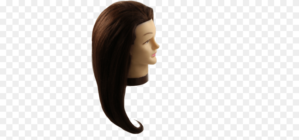 Download 24 Brunette Mannequin Head Head Full Size Hair Design, Adult, Female, Person, Woman Png Image