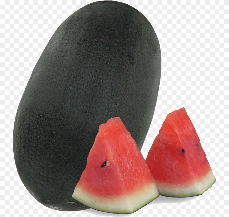Download 7755 King Black Gold Watermelon Full Size Transparent Black Watermelon, Food, Fruit, Plant, Produce Free Png