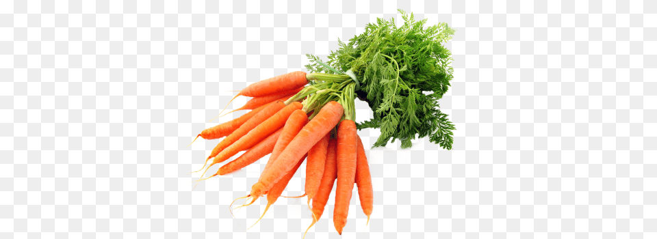 8 Months Ago 1169 121 Carrots, Carrot, Food, Plant, Produce Free Png Download