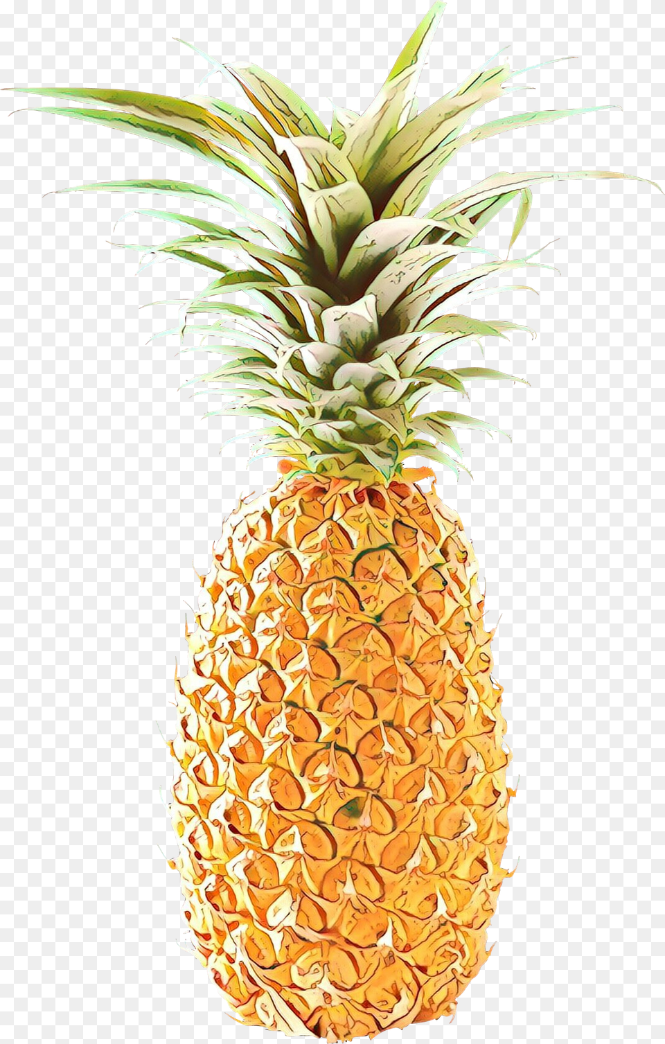 Download, Food, Fruit, Pineapple, Plant Free Png