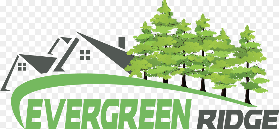 Download About Evergreen Ridge Estates Christmas Tree Christmas Tree, Neighborhood, Vegetation, Green, Plant Png Image