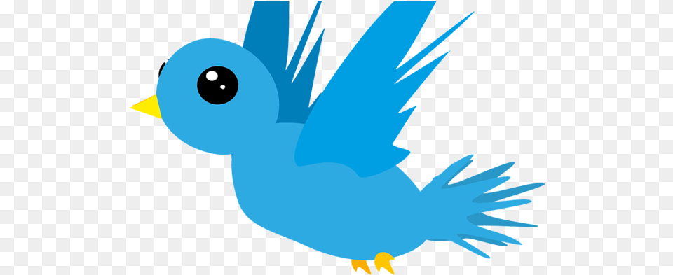 Download Add Animated Flying Twitter Animation Of Birds Flying, Animal, Bird, Jay, Fish Free Transparent Png
