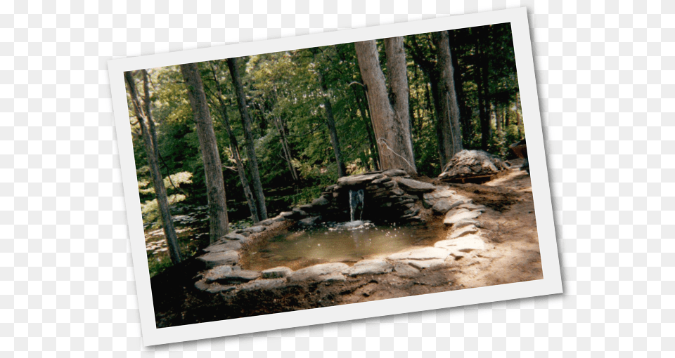 Download Adding Fish Ponds And Water Gardens New Hampshire Pond, Woodland, Vegetation, Tree, Plant Free Transparent Png